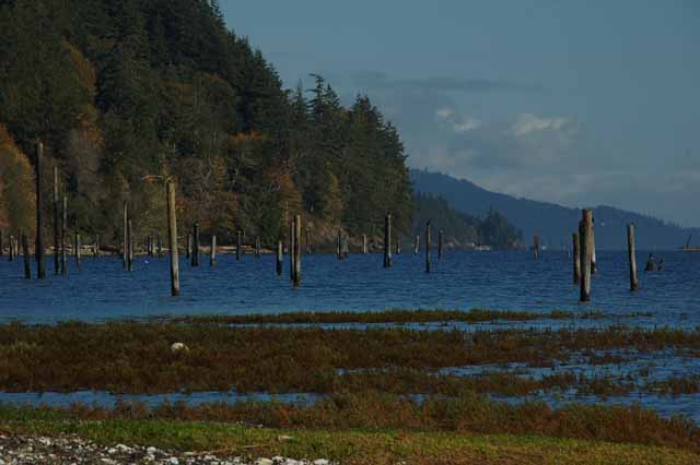 the Hood Canal